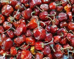 CHILLI SALEM GUNDU
