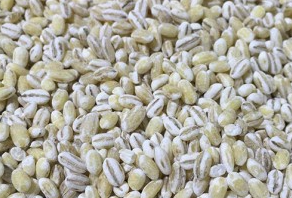 BARLY 100GMS