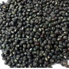 Uridgola Black