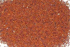 RAGI loose
