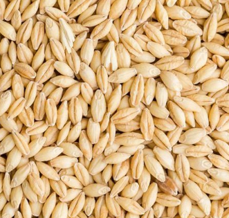 Barley Loose