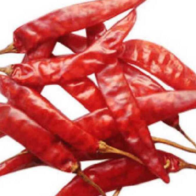 CHILLI GUNTUR