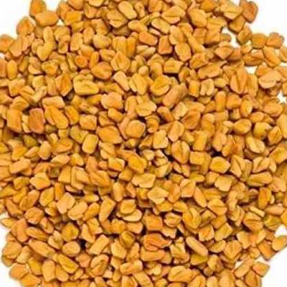 Methi