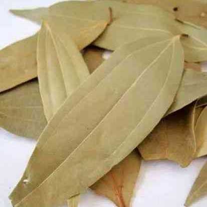 PALAV LEAF