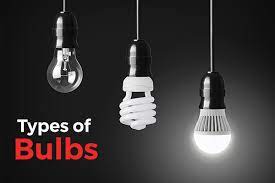 Bulbs & Battery