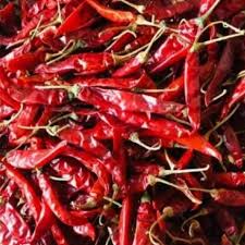 DRY CHILLI GUNTUR